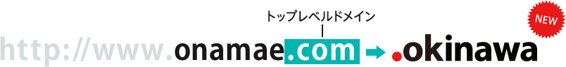 https://www.onamae.com→http://www.onamae.okinawa