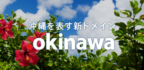 沖縄を表す新ドメイン